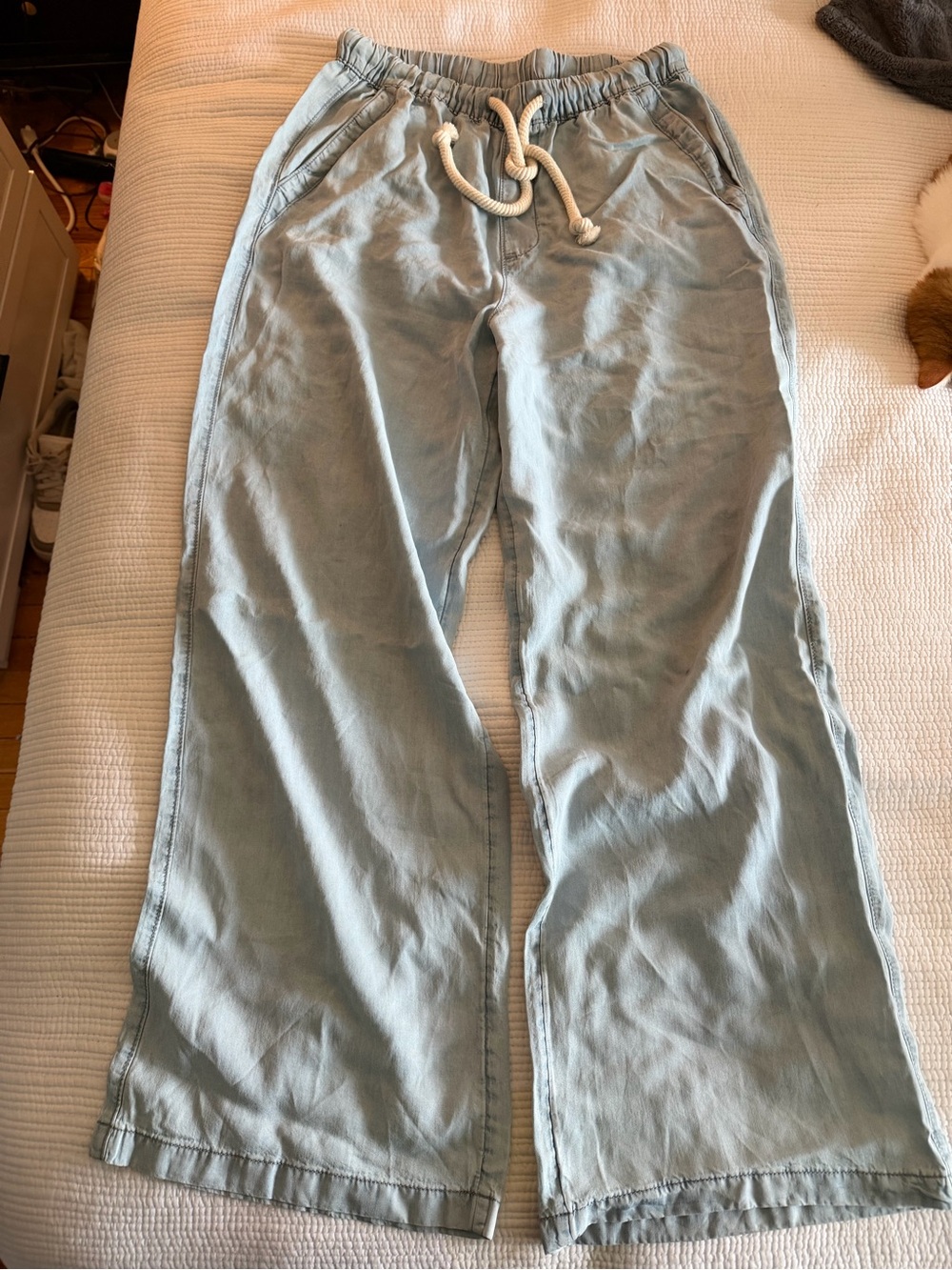 Anthropologie Light Blue Drawstring Joggers